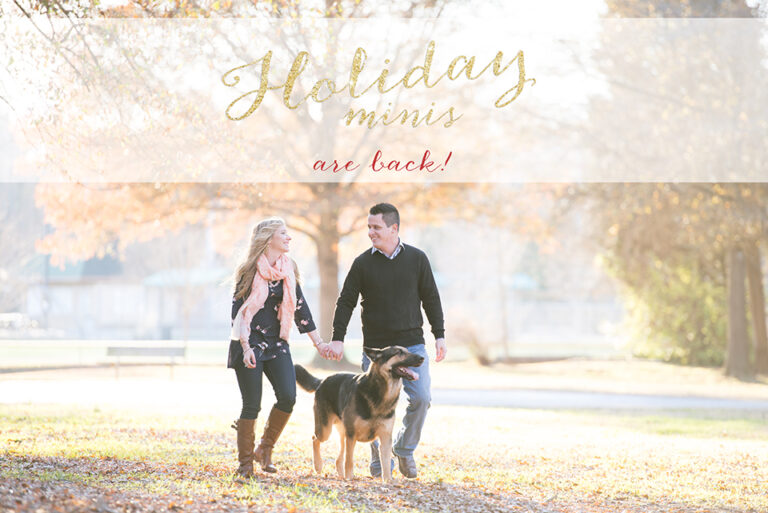 Holiday minis 2015 | Charlotte Family Photographer