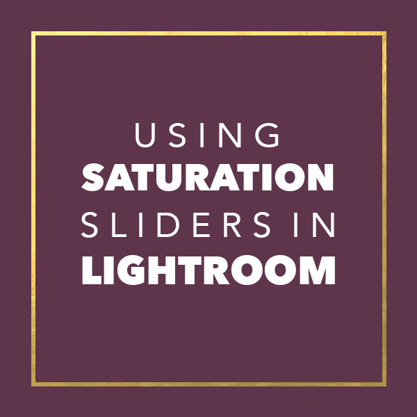 Using Saturation Sliders in Lightroom | Charlotte Photo Editing Mentor