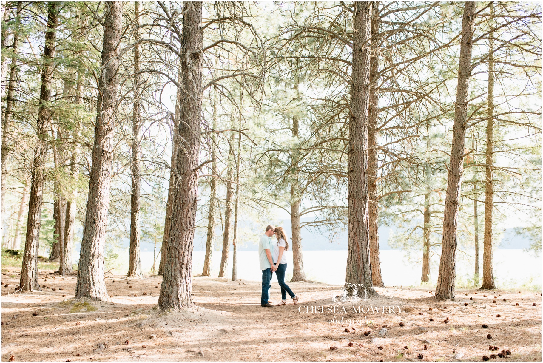 lake pend orielle portraits | wooded forest pictures
