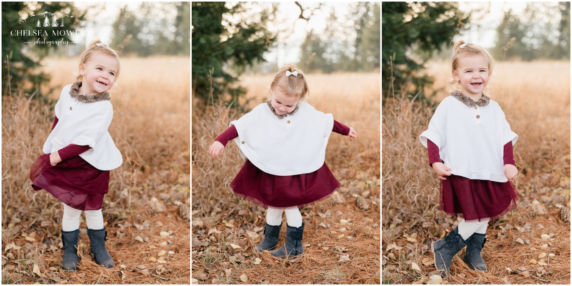 fall family pictures | sandpoint Idaho photographer