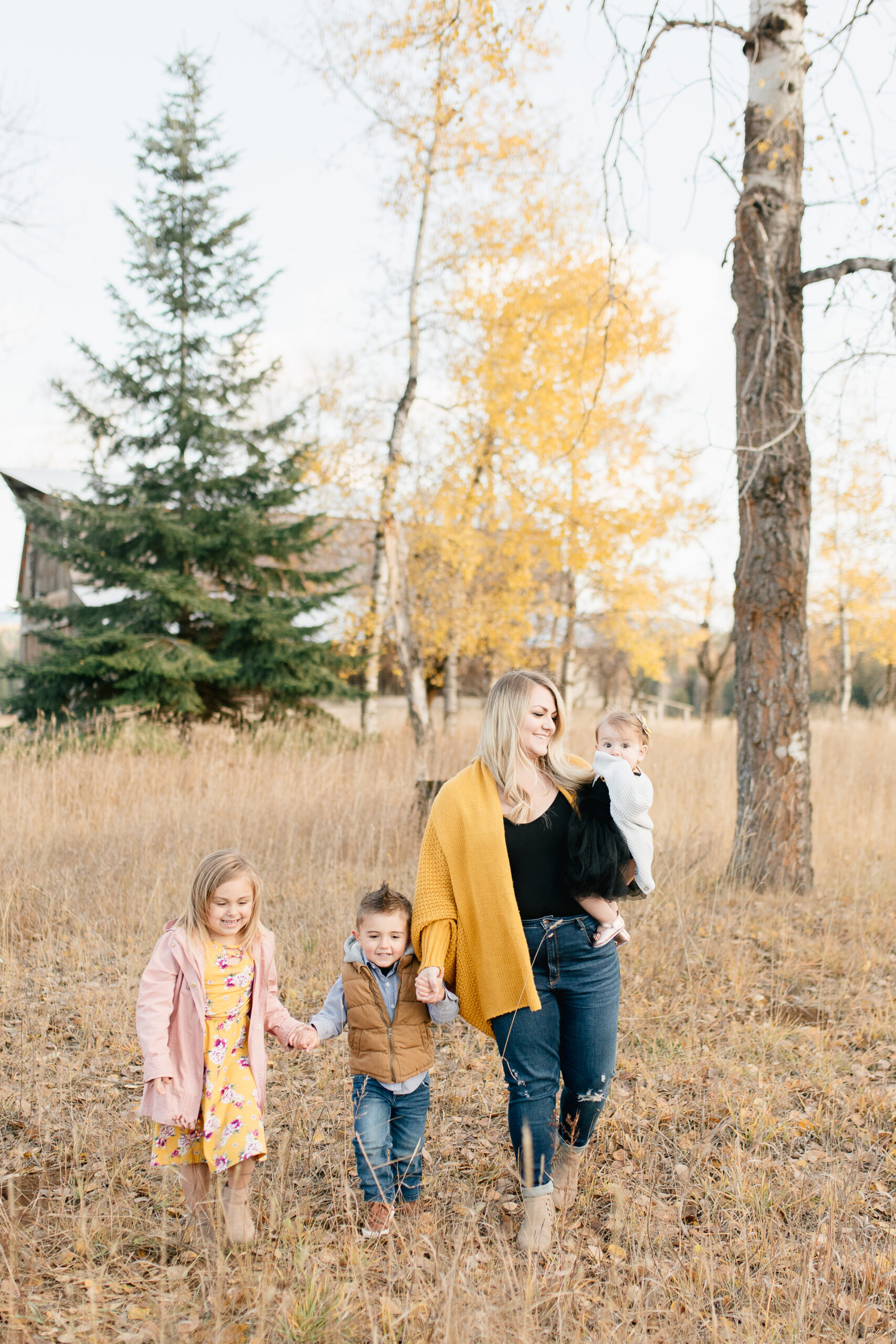 fall family photography | sandpoint Idaho photographer
